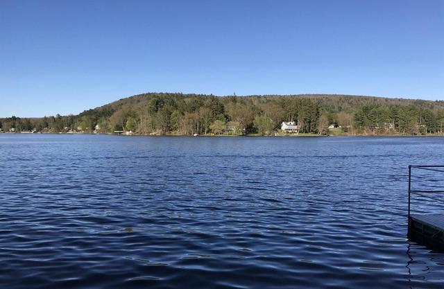 Carr's Cottage - Cozy Cottage w/King bed on Goodyear Lake