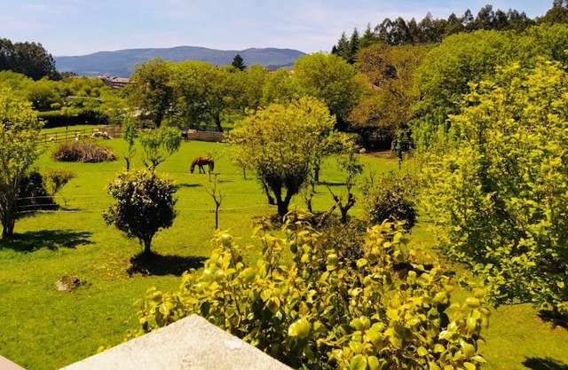 Casa Cañiza (319), large farm with natural pool