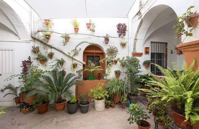 Casa Cuna - One Bedroom Apartment, Sleeps 2