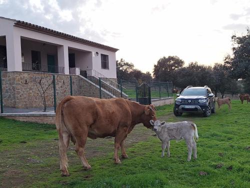 Casa Dehesa La Lancha