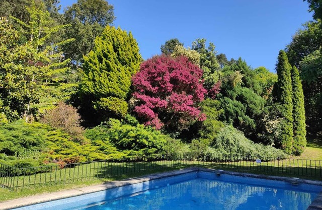 Casa del Cura de Oliveira