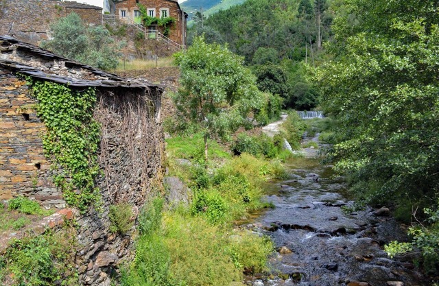 Casa do Azereiro