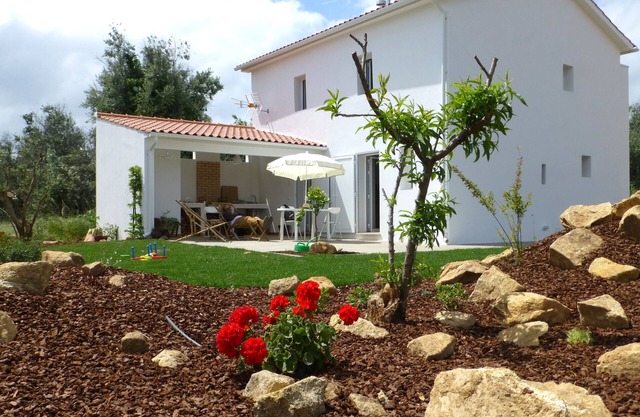 Casa do Olival, Guest accommodation in Figueiró dos Vinhos.