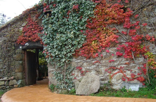 Casa la Salamanquesa in the heart of the Tietar Valley.
