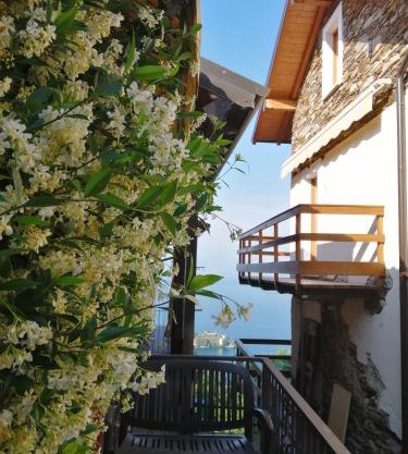Casa Orfea