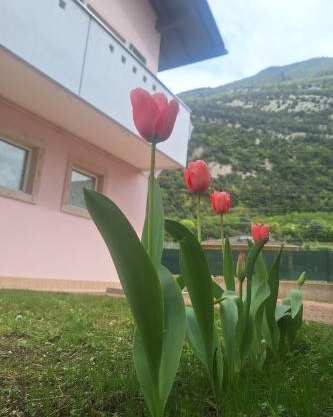 Casa 'Rosa dei laghi'