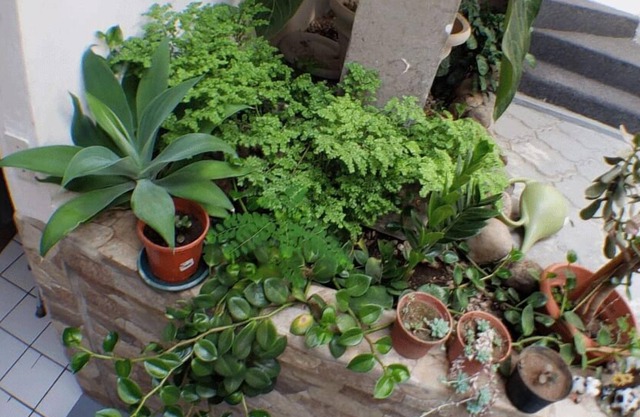 Casa San Juan- Apt deluxe muy acogedor, centrico !