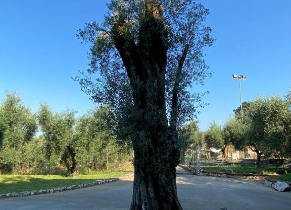 Casa Vacanze La Selva