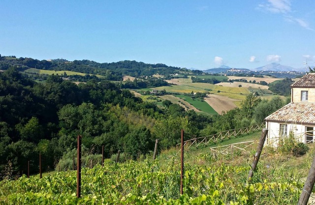 Casale Biancopecora, Sanforte house in the Marche countryside