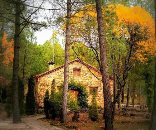 Casas rurales FUENTE EL OJICO
