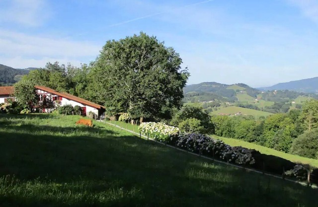 Caserio AGIÑAGA, rural study Carmen
