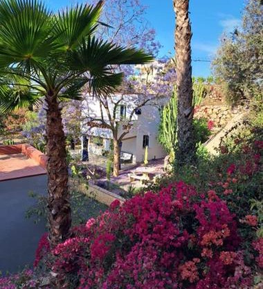 Casita 2