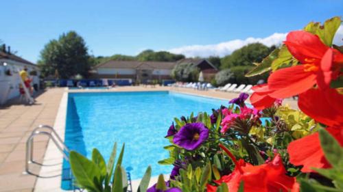 Casita De Cuervo at Shorefield Park - WIFI - Pet Friendly - Passes Included