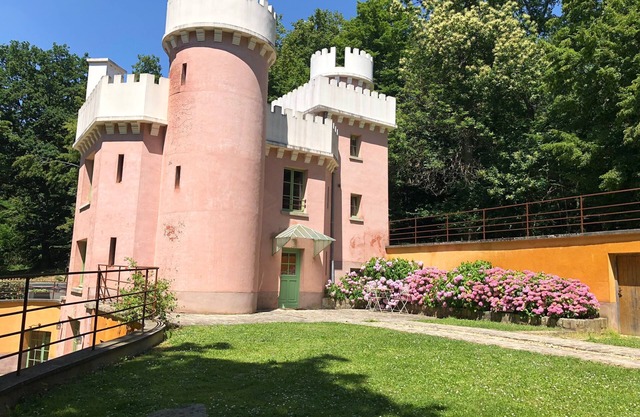 Castle in the woods with private SPA 45 min from Paris and Reims, 25 min Disney