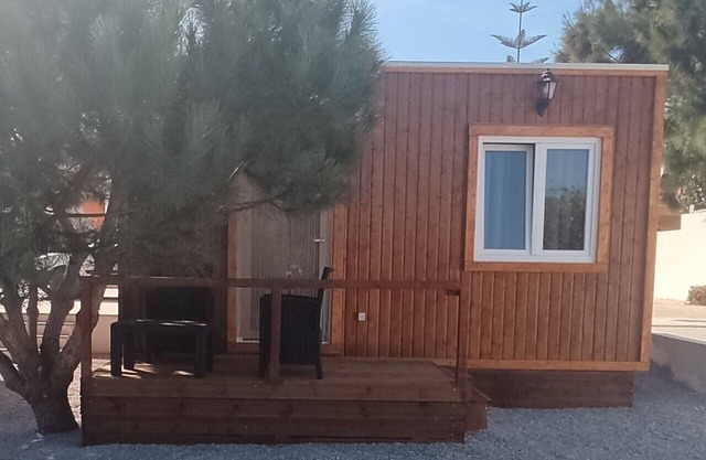 CATSHOUSE CARQUEJA 2