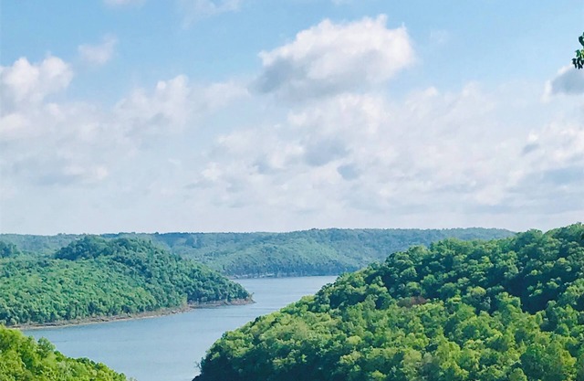 Center Hill Lake, Historic Log Cabin updated with amazing Lake/Mountain views!