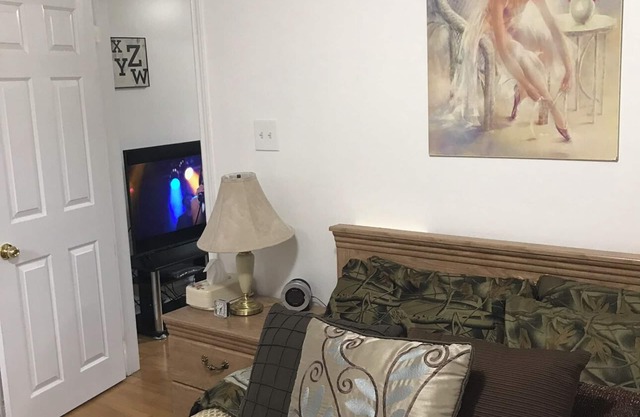 Central Canal 1 Bdrm w/private entrance, parking, deck. Beautiful area