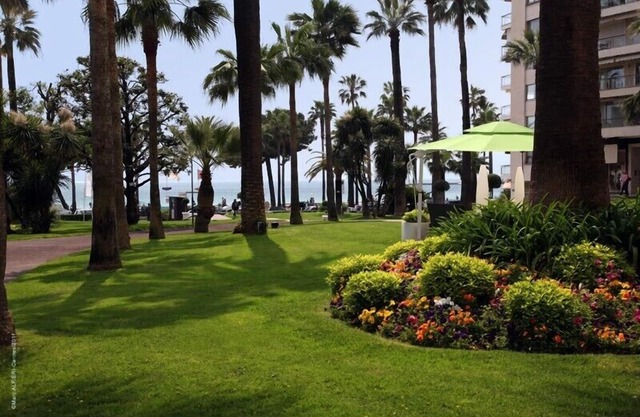 Central in the Heart of Cannes - 'Carre D'Or' (Golden Square) Location is a Gem!