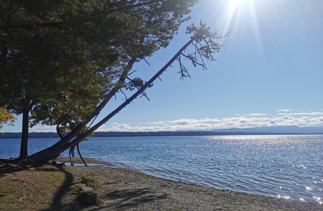 CENTRAL & QUIET - between Munich and the mountains... on Lake Starnberg