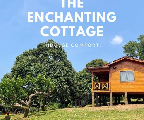CH Durian Farmstay