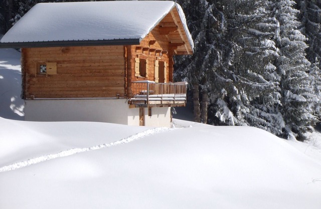 chalet - 3 rooms - 4/6 persons