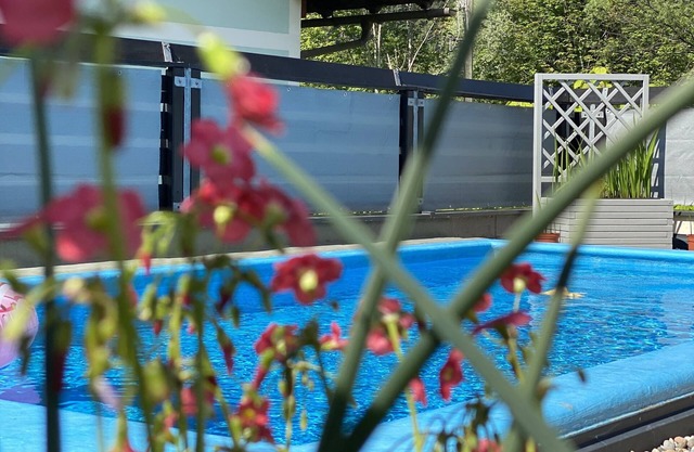 Chalet 48 - Holiday home with pool near Nassfeld and many lakes