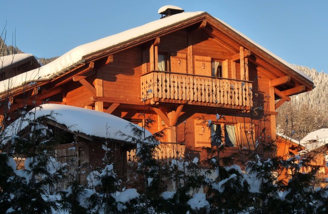 Chalet - Praz sur Arly