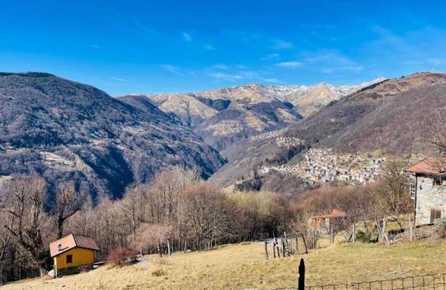 Chalet surrounded by greenery