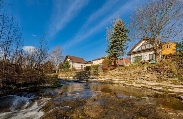 Chalet with 4 bedrooms, living room with home cinema, full kitchen next to creek