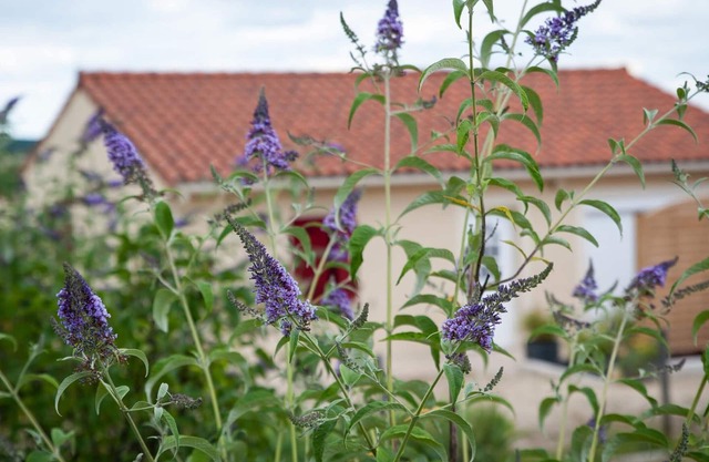 Chaleureuse maison de plain-pied, proche Périgueux et Montignac, confort moderne et activités familiales