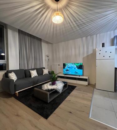Chambre dans appartement