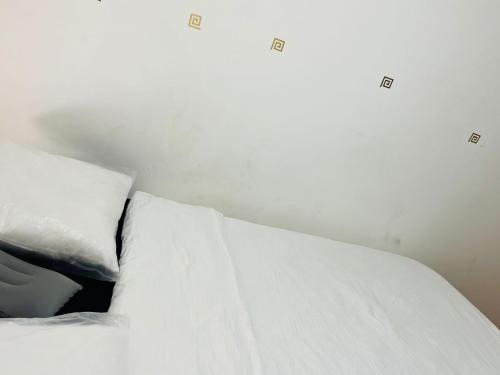 Chambre pinselc