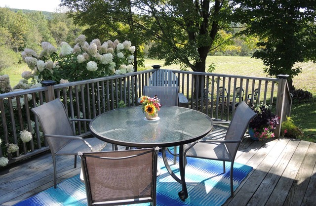 Changing Seasons Game room, large yard, 3 bedroom/2 bath ranch, country setting