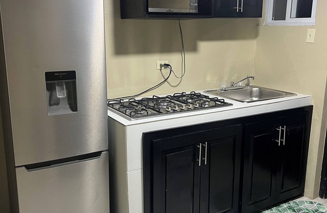 Charming 1-bedroom apartment in Kingston with WiFi and AC
