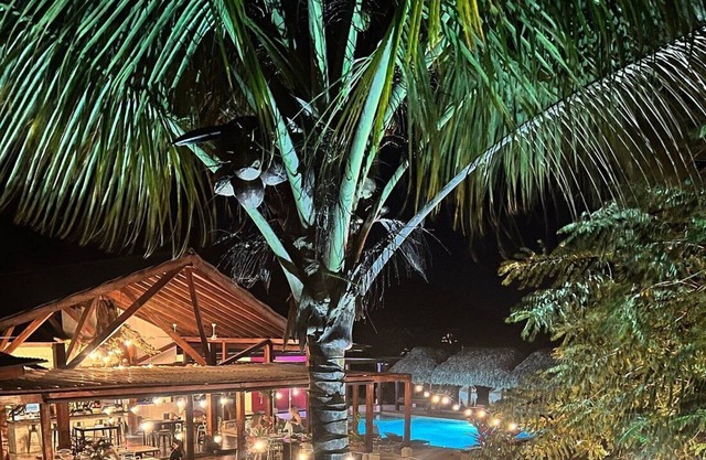 Charming 1-Bedroom Beachfront Hotel With Pool