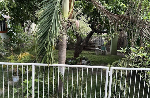Charming 1-bedroom house in delightful Kingston with WiFi