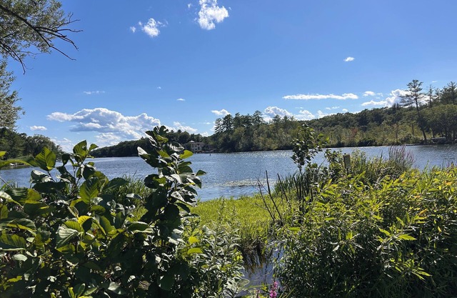 Charming 2-bedroom cottage with AC and WiFi on Ballston Lake. Family friendly.