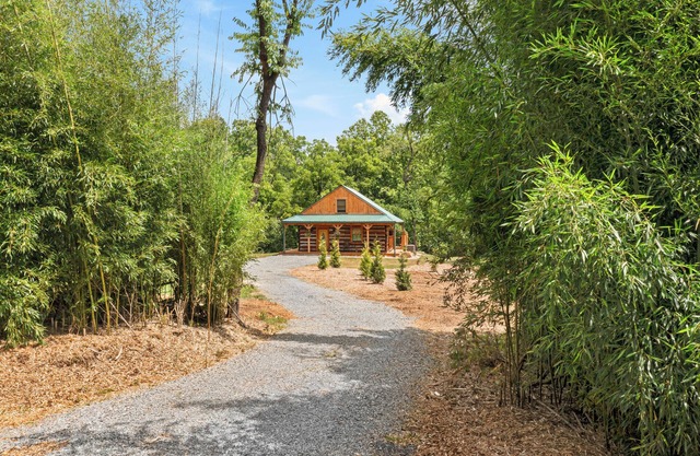 Charming 2-bedroom cabin on Craigs Creek with WiFi just outside New Castle