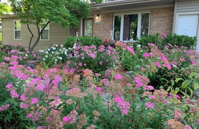Charming 3-bedroom home in Mt Pleasant near colleges, Casino and children parksn