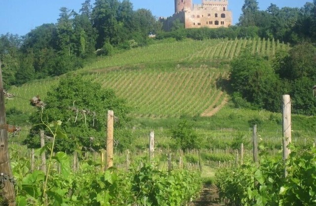 CHARMING 3* HOUSE IN ALSACE ON THE WINE ROUTE AT KINTZHEIM