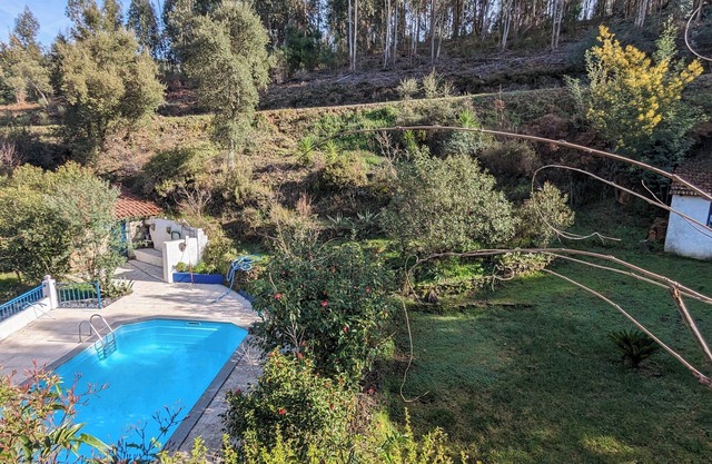 Charming 3-bedroom villa in fabulous Figueiro dos Vinhos with private pool