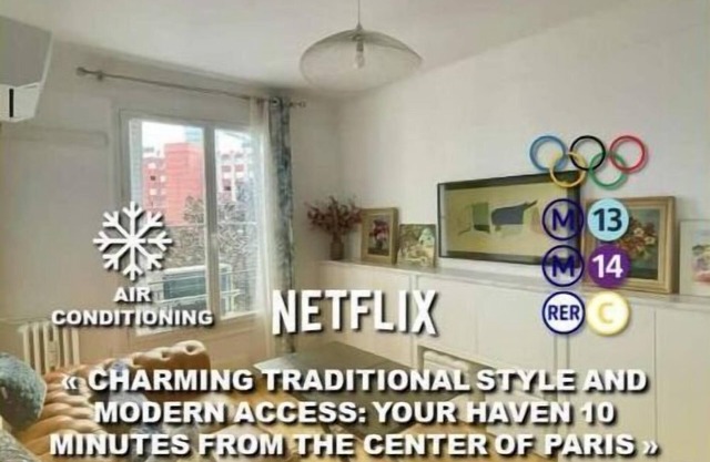 CHARMING AIR CONDITIONING FLAT 10 MN AWAY FROM THE CENTER OF PARIS-METRO 14 & 13