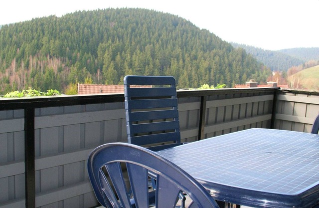 Charming apartment in Wildemann with garden