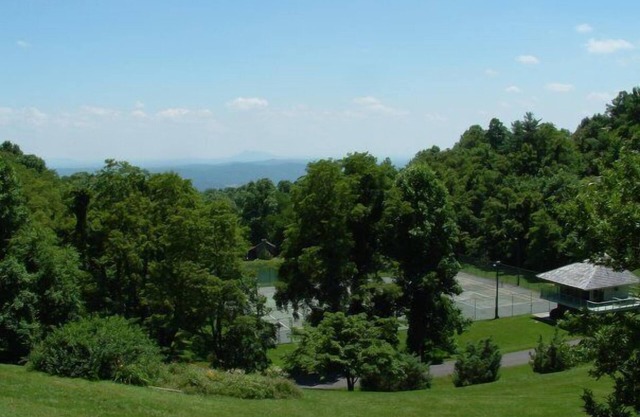 Charming Blue Ridge Parkway Chalet near Mt Airy, Mabry Mill, wineries and more.