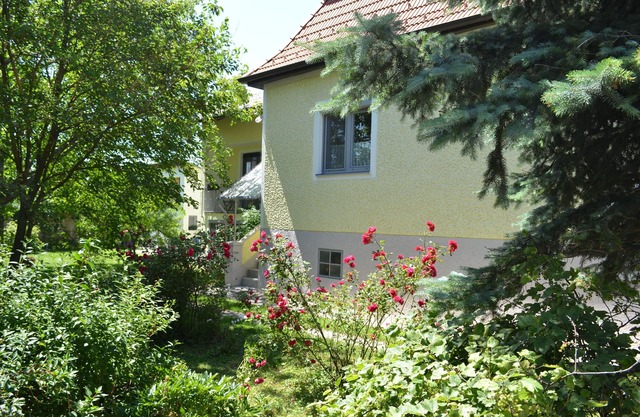 Charming cottage in Blaufränkischland, starting point for many activities