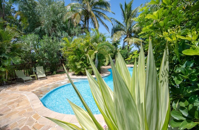 Charming exotic wood bungalow with pool in a tropical garden.