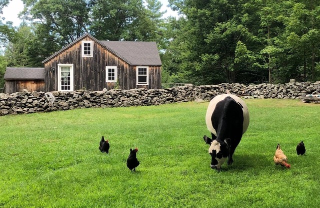 Charming farm cottage with mountain views