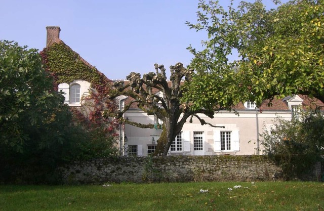 Charming Renovated Estate with Pool, BBQ, and Vineyards near Loire Castles