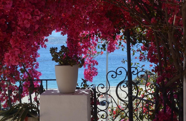 Charming fully equipped appartment on the beach