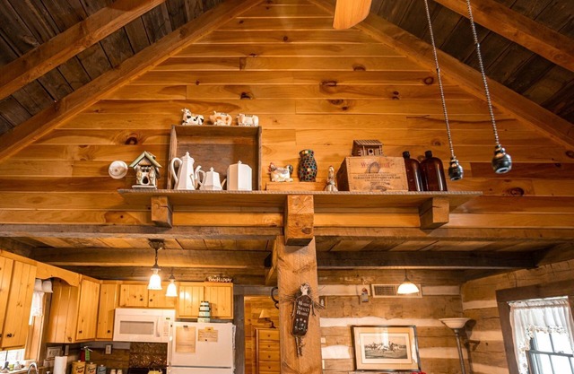 Charming, Historic Cottage Claytor Lakefront 1BS4 - Kirkner Lake Cabin